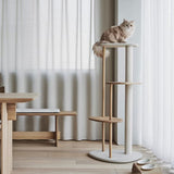 insitu