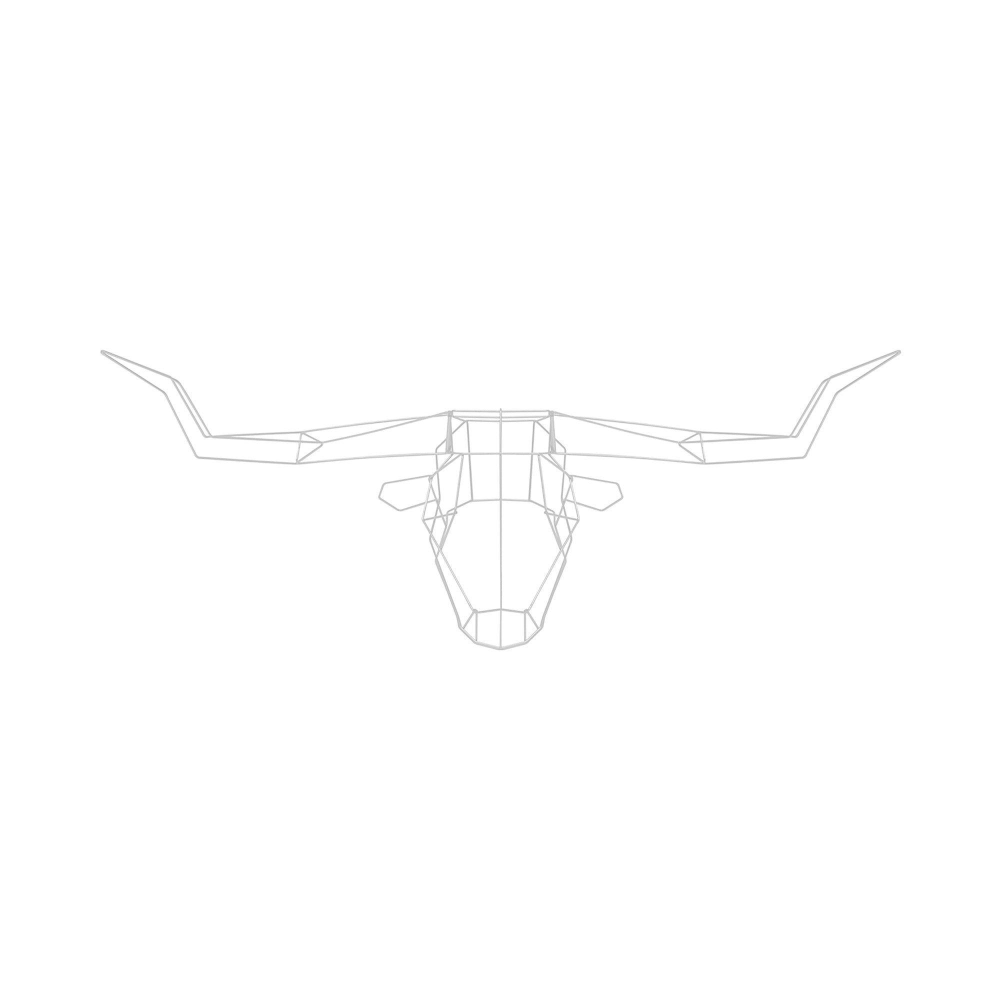 Longhorn Trophy Head: White