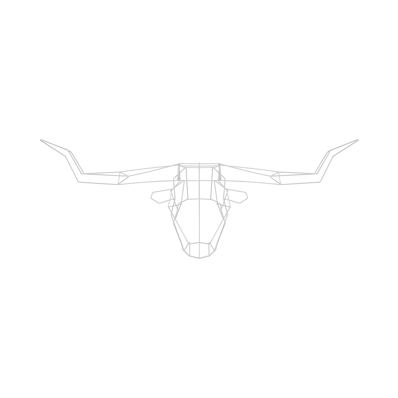Longhorn Trophy Head: White