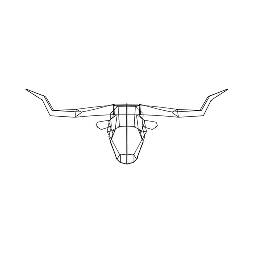 Longhorn Trophy Head: Black