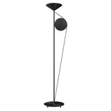 Cercle & Trait Floor Lamp: Satin Graphite