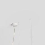 Bolda Atelier 01C Palette Suspension Lamp