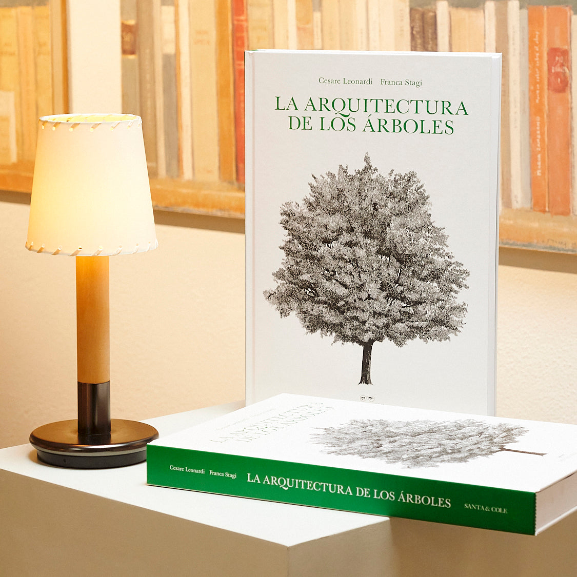 Básica Mínima Batería Portable Table Lamp