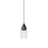 Liuku Pendant Drop Light: Transparent + Black Stained Lacquered
