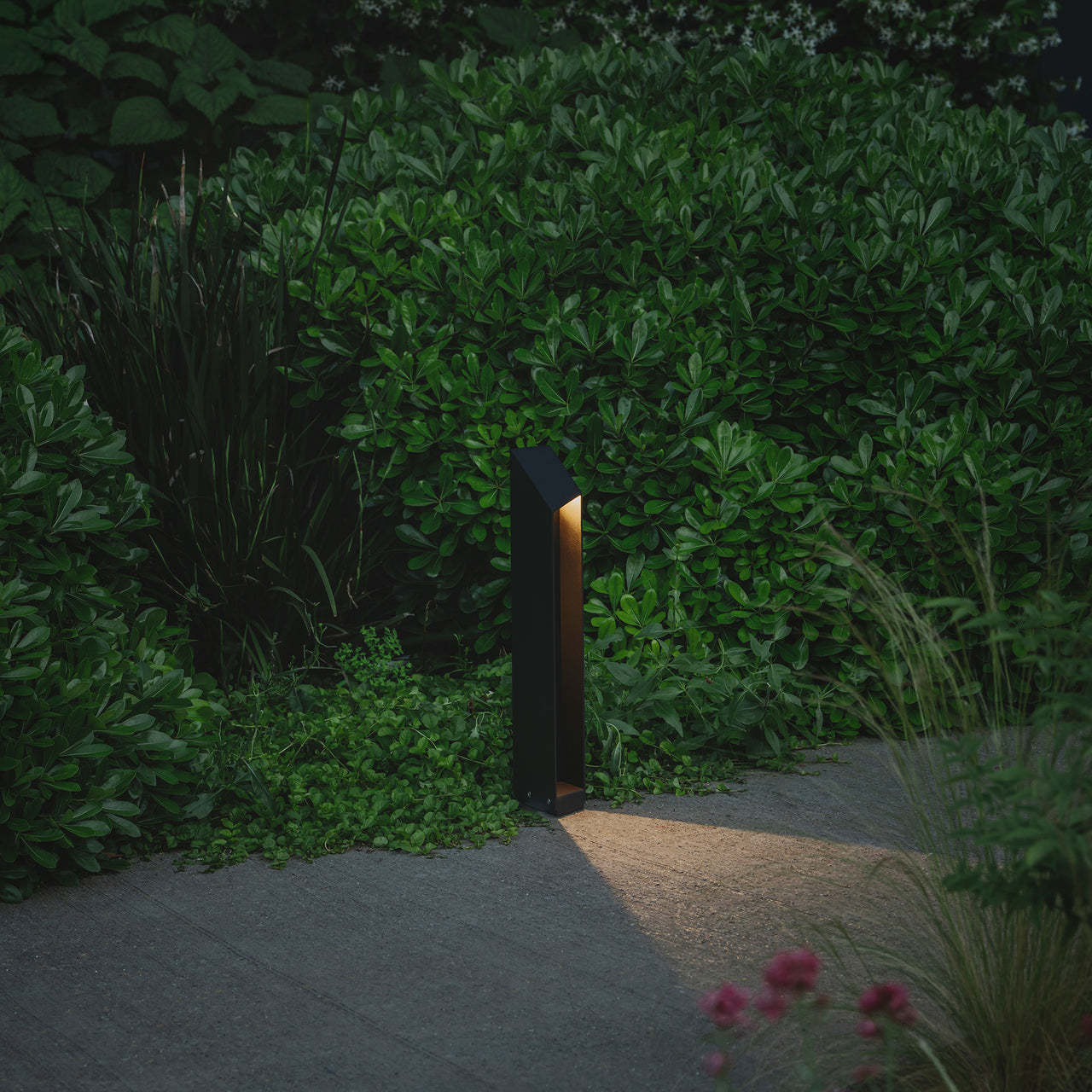 Domus Bollard