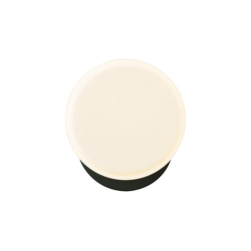 Marea Wall Sconce: Spruce