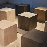 insitu