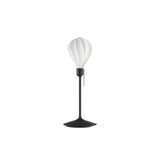Alva Champagne Table Lamp: Mini - 8