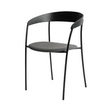 Missing Chair: Seat Upholstered - Set of 2
