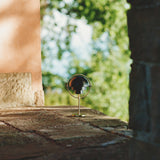 A small portable lamp with a black domed shade and brass stand on a stone ledge outdoors
