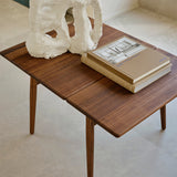 ND55 Coffee Table