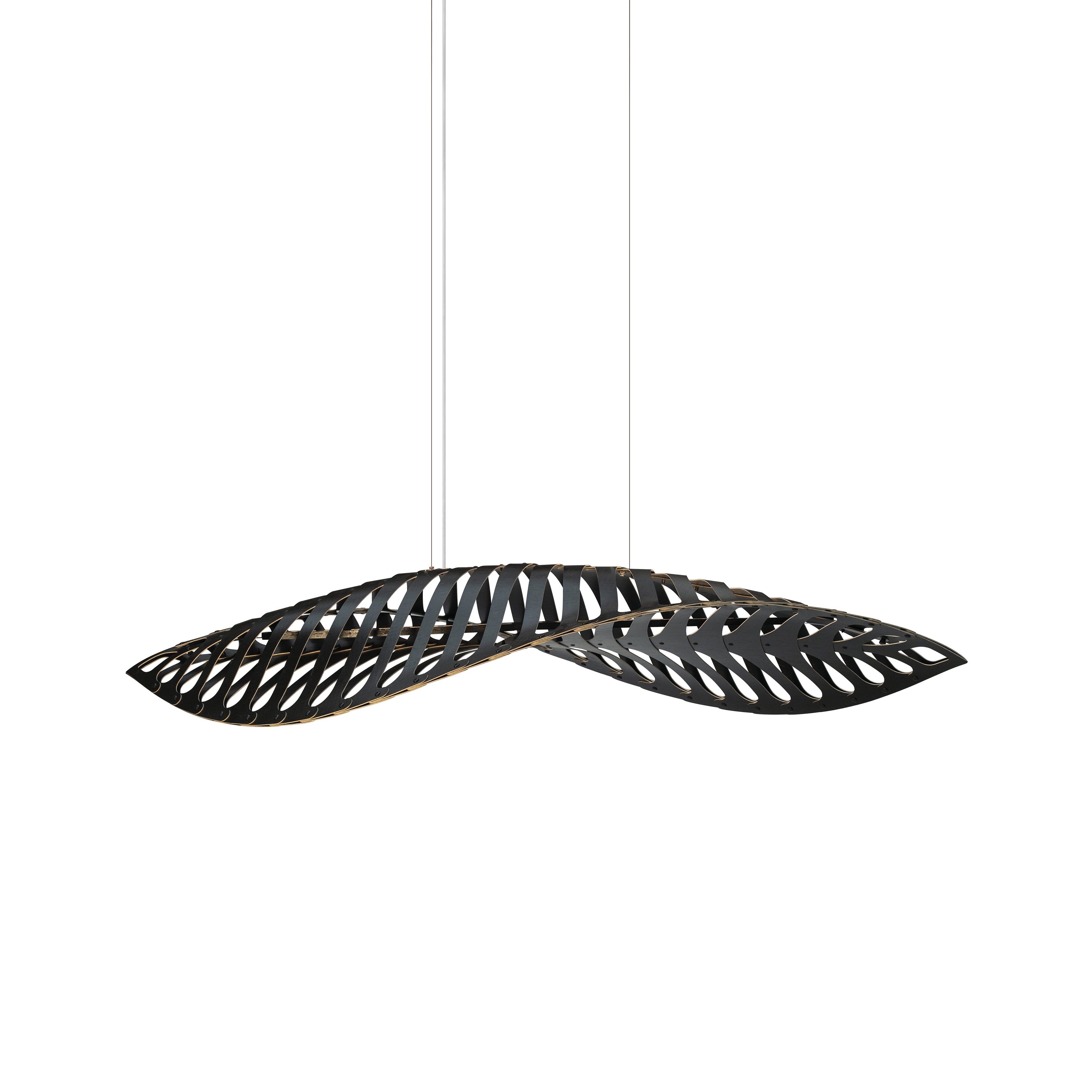 Navicula Pendant Light: Large - 39.4