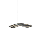 Navicula Pendant Light: Small - 22.4