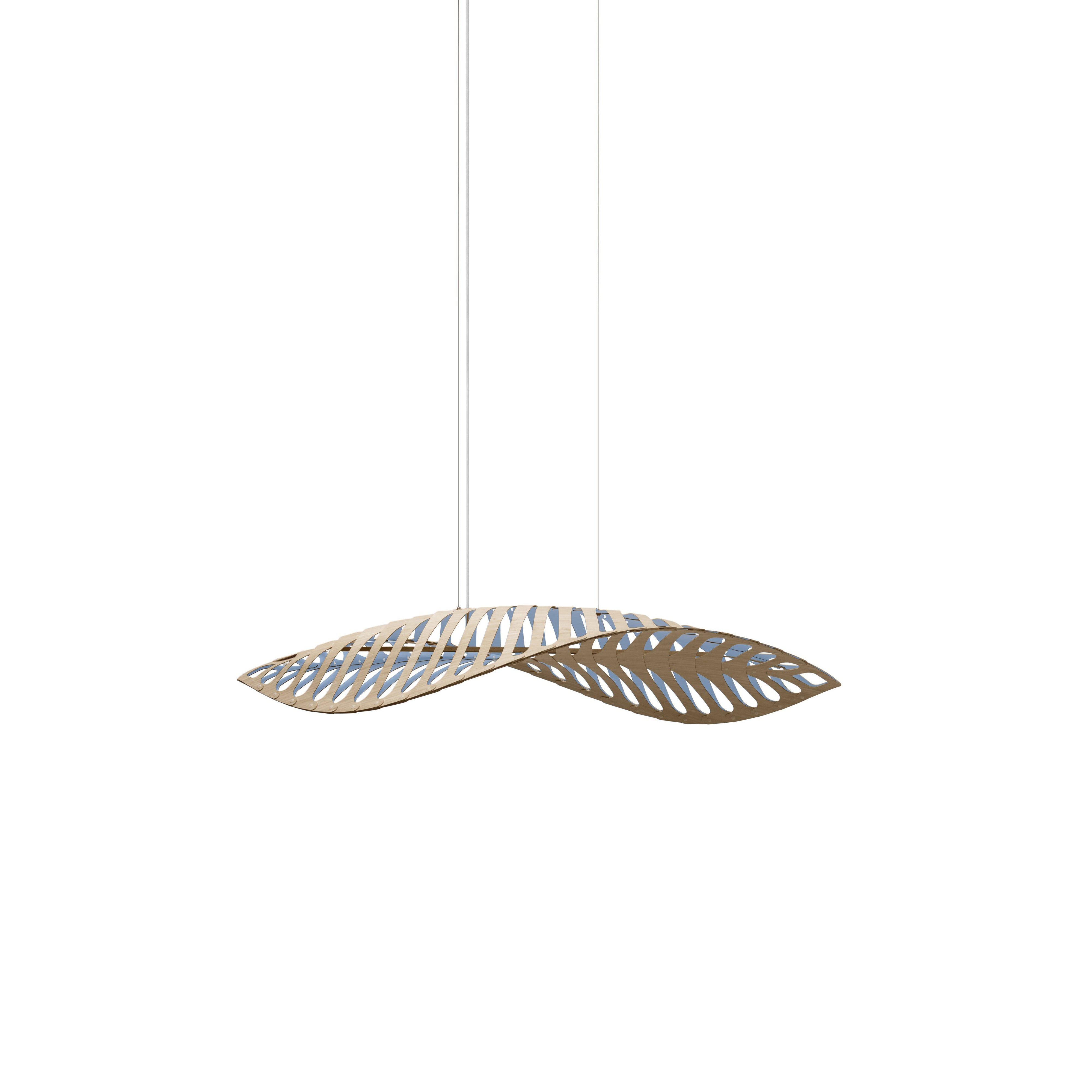 Navicula Pendant Light: Small - 22.4