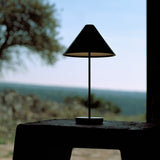 insitu