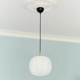 Pepo Pendant Lamp