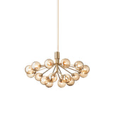 Apiales 18 Chandelier: Brushed Brass + Gold + Gold