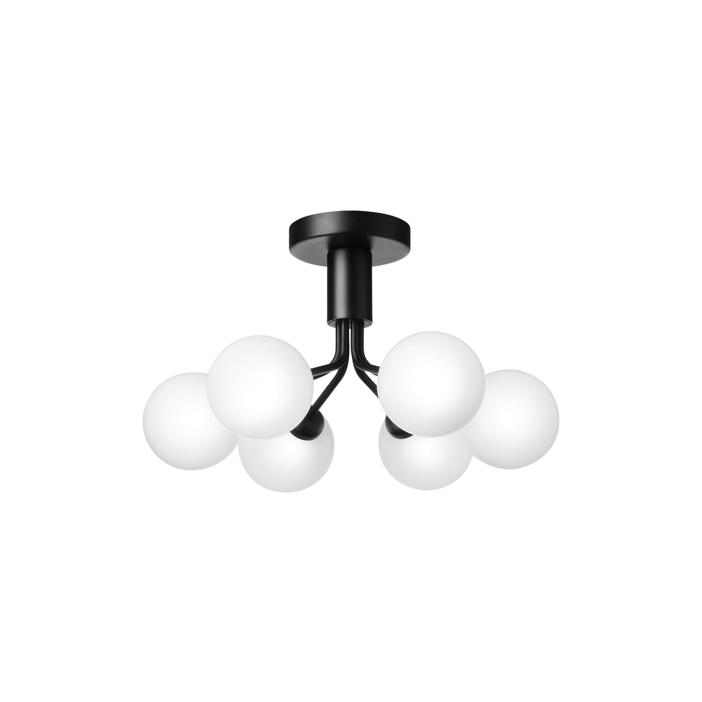 Apiales 6 Ceiling Lamp: Satin Black + Opal White