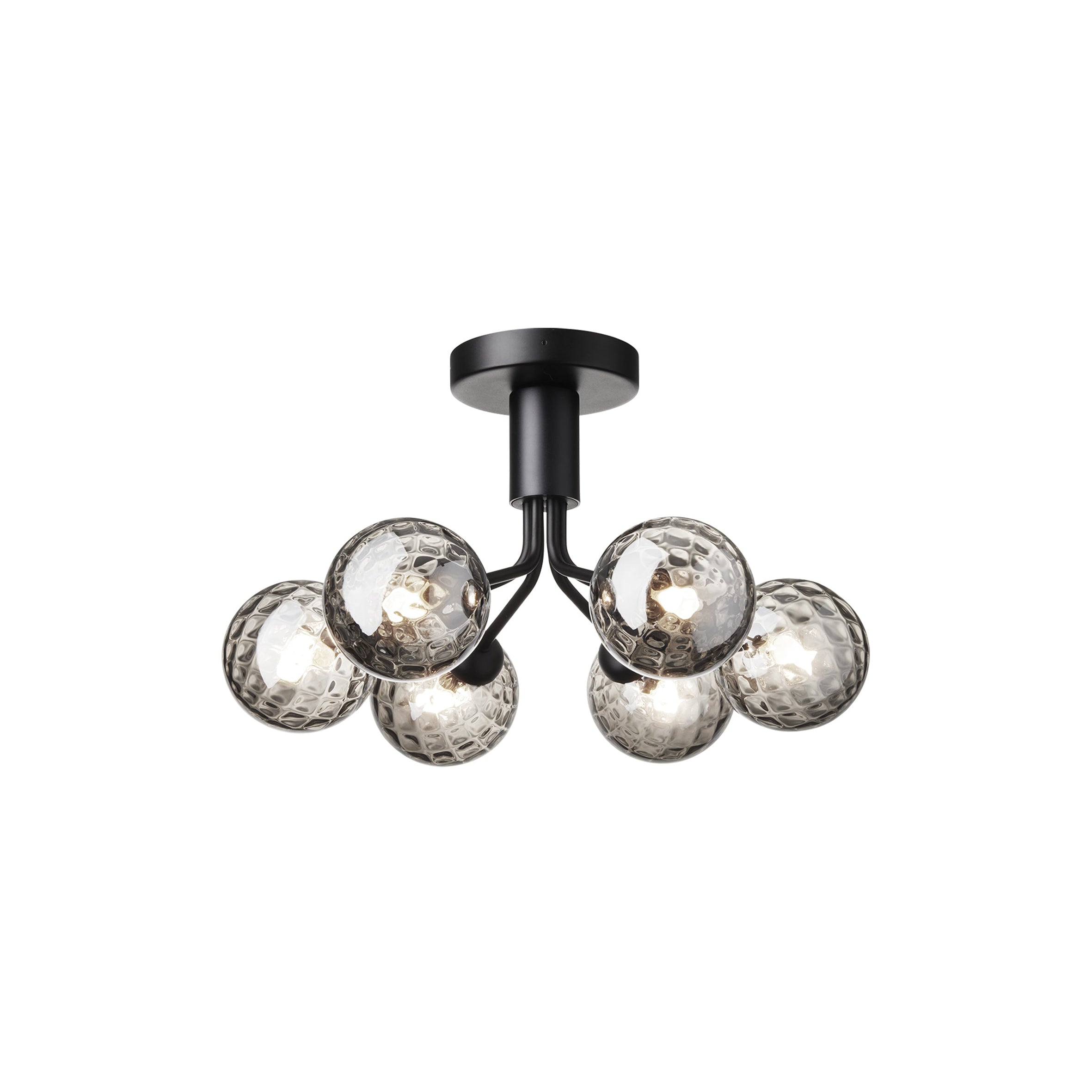 Apiales 6 Ceiling Lamp: Satin Black + Optic Smoked