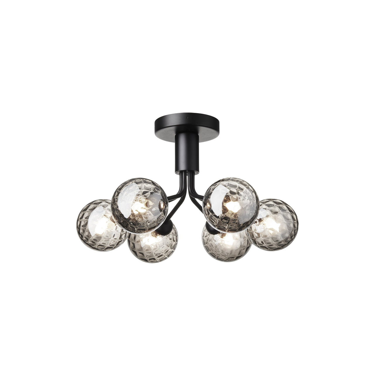 Apiales 6 Ceiling Lamp: Satin Black + Optic Smoked