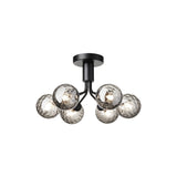 Apiales 6 Ceiling Lamp: Satin Black + Optic Smoked