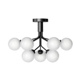 Apiales 9 Ceiling: Satin Black + Opal White