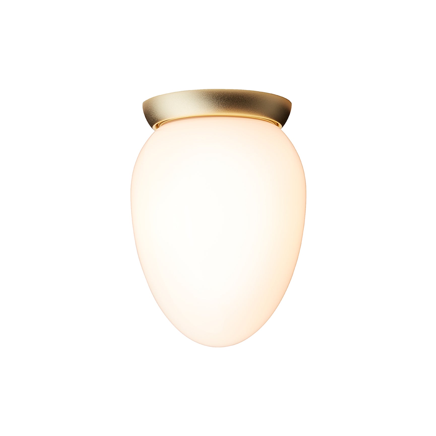 Rizzatto 171 Wall/Ceiling Light: Satin Brass