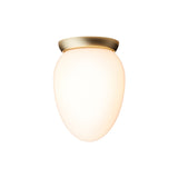 Rizzatto 171 Wall/Ceiling Light: Satin Brass