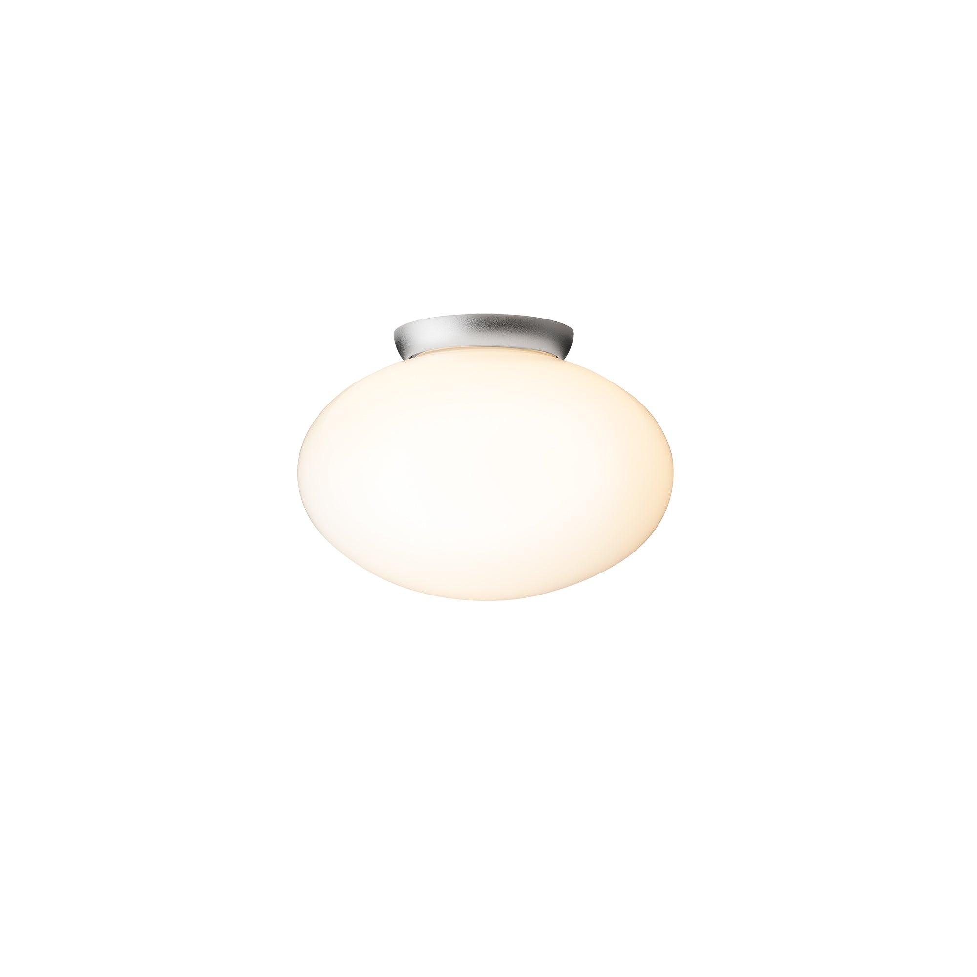 Rizzatto 301 Wall/Ceiling Light: Satin Silver
