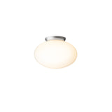 Rizzatto 301 Wall/Ceiling Light: Satin Silver
