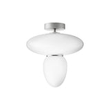 Rizzatto 42 Ceiling Lamp: Satin Silver + Silver