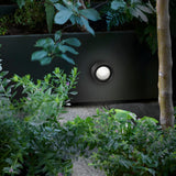 insitu