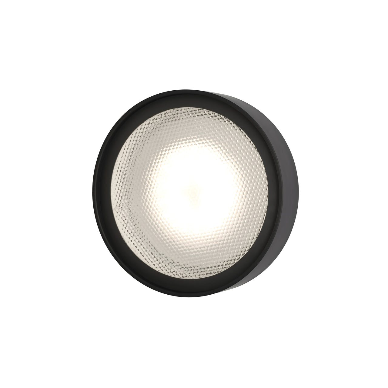 Berlin Wall Lamp: Outdoor + Medium - 9.8