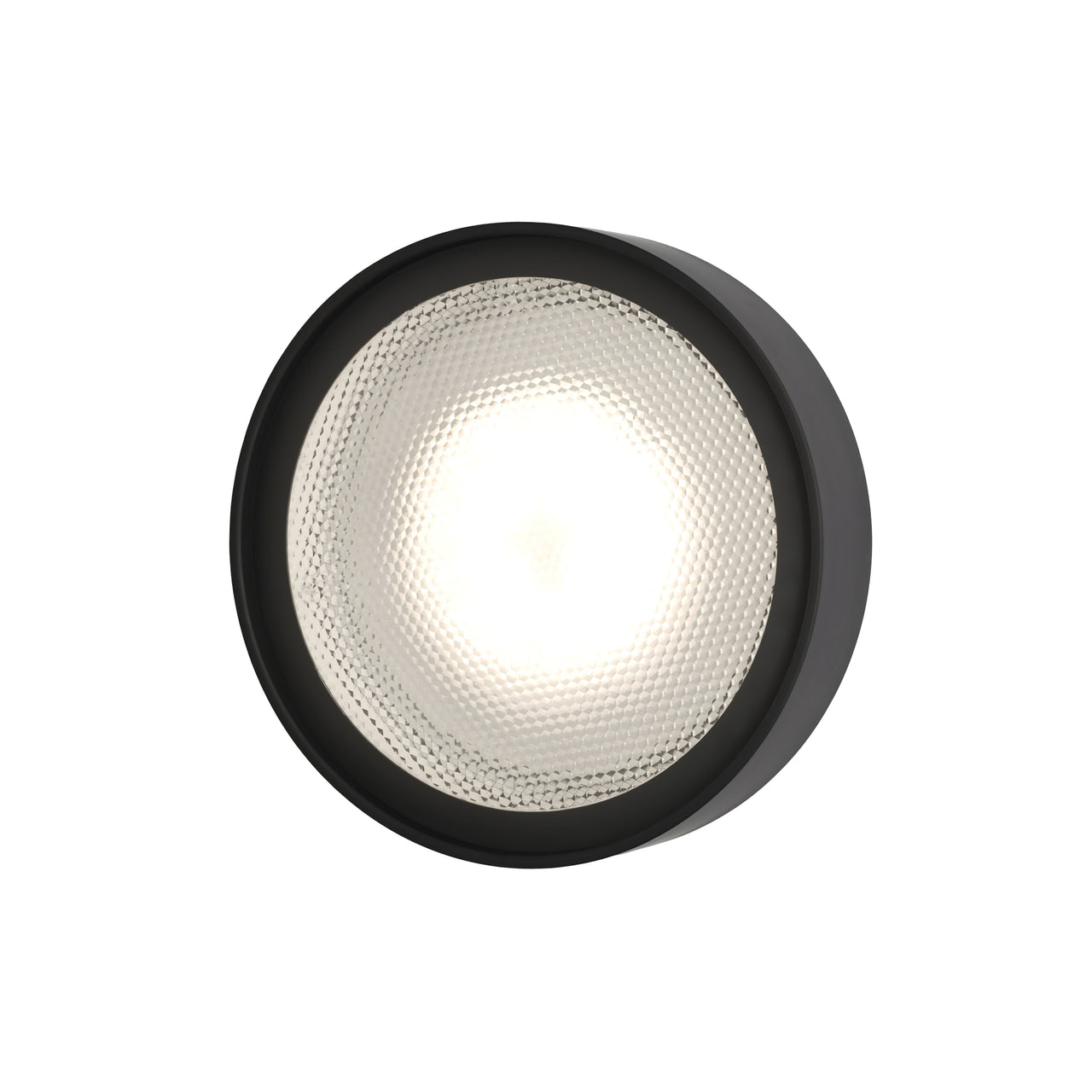 Berlin Wall Lamp: Outdoor + Large - 13.8