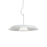 Iride Suspension Light: Large - 33.5