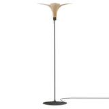 Jazz Champagne Floor Lamp: Oak + Black