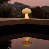 A glowing cream glass lamp with a domed shade on a stone ledge beside a dark pool at dusk