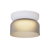 Totem Mini Flush Downlight: E + Etched Smoke + White