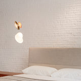 Pebble Pendant Light: LS
