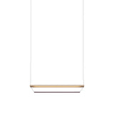 Tier 100 Pendant Light: Anodized Gold + Amethyst