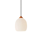 Gulp Pendant Light: Small + Persimmon