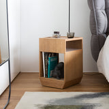insitu