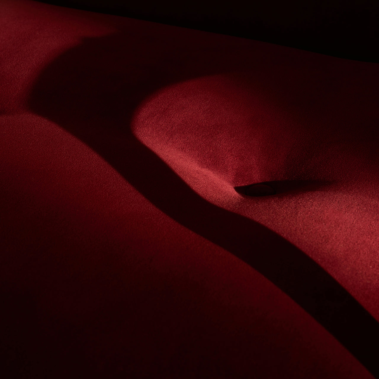 Poltrona Tria Lounge Chair: Fully Upholstered + DI