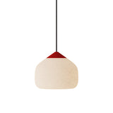 Goby Pendant Light: Large + Poppy