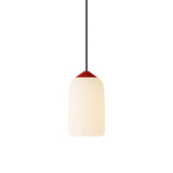 Goby Pendant Light: Small +  Poppy