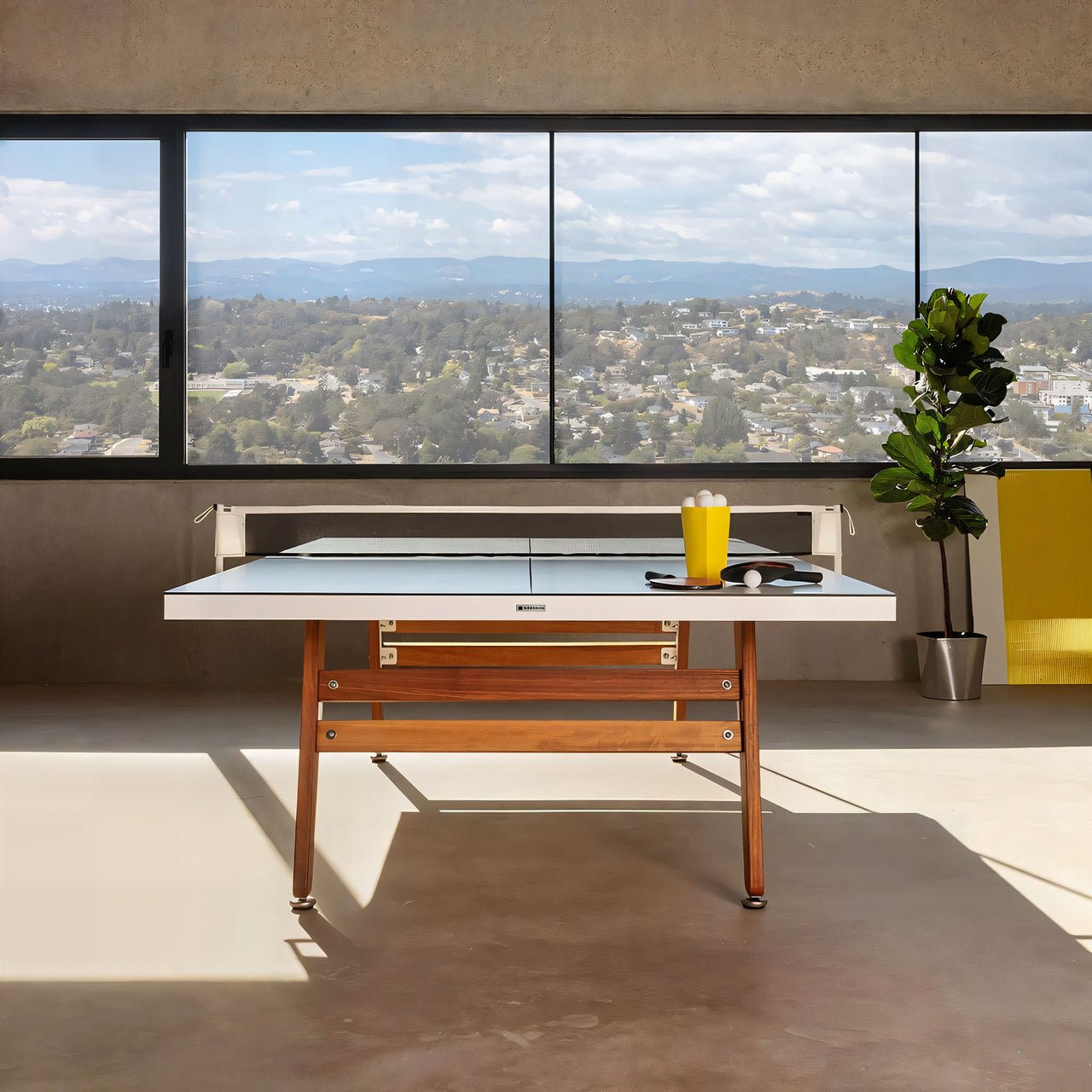 RS Stationary Ping Pong Table: LS