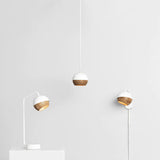 Ray Pendant Lamp