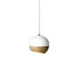 Ray Pendant Lamp: Medium - 5.9