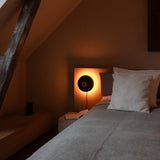 insitu