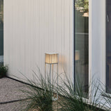 insitu